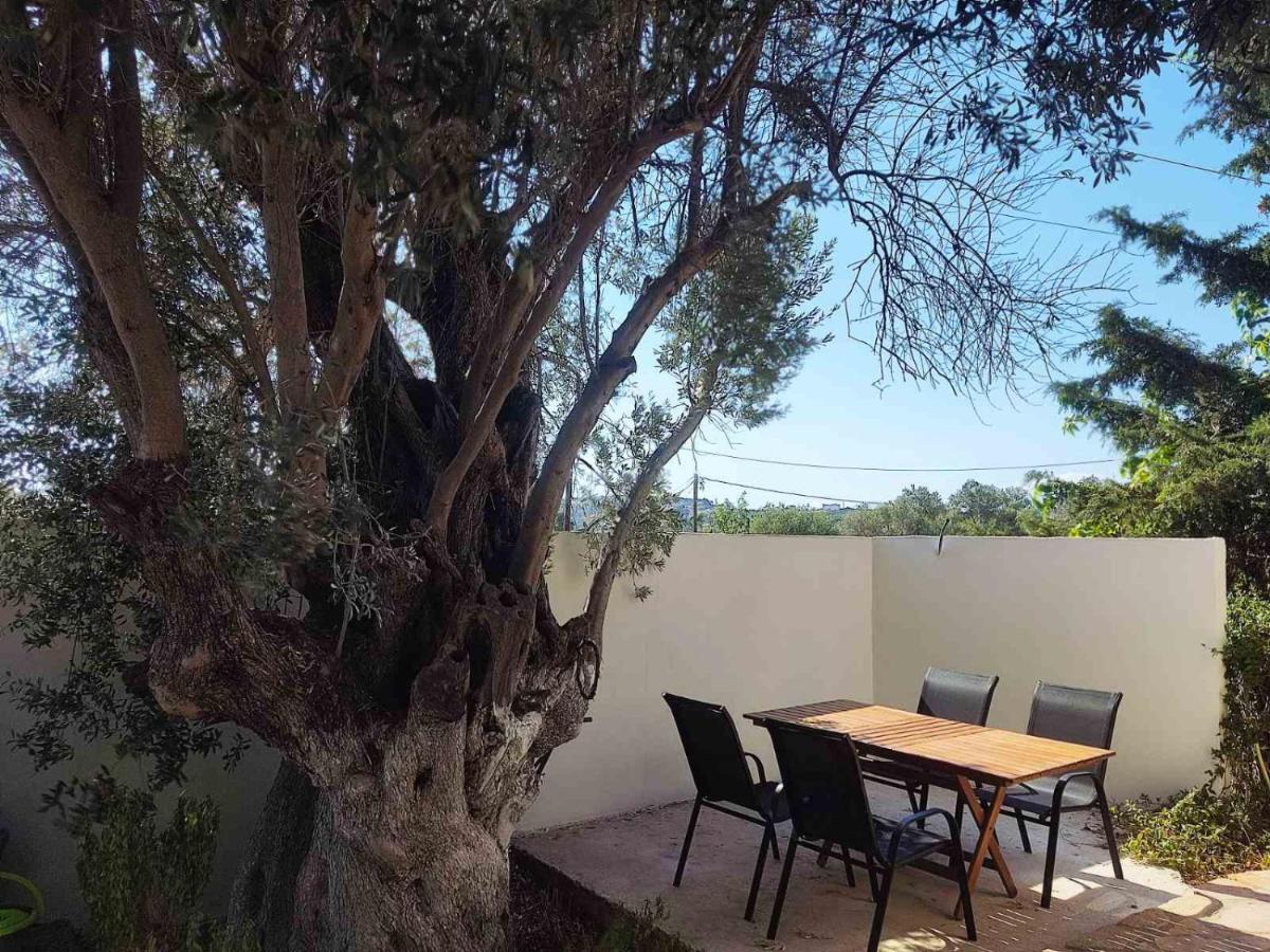 פיטסידיה Villa Elia מראה חיצוני תמונה